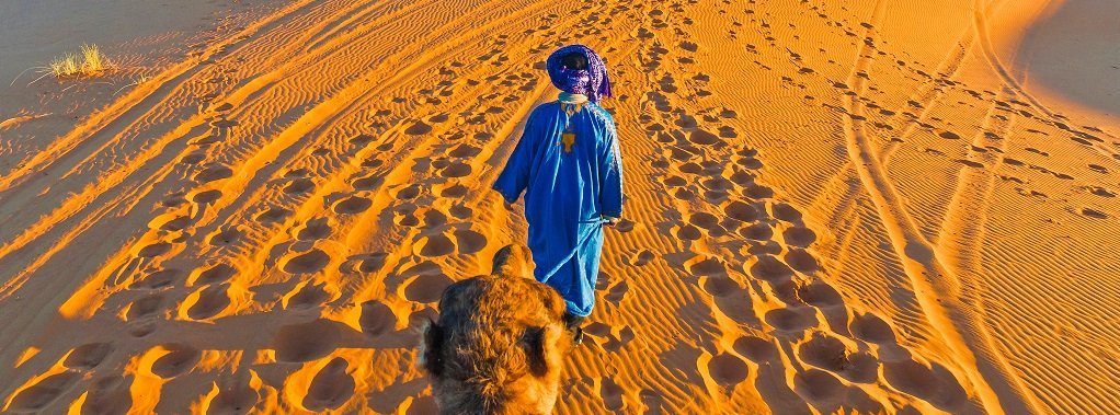 Berber walking with camel at Erg Chebbi orange dunes, Morocco